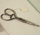 Scissors̎ʐ^